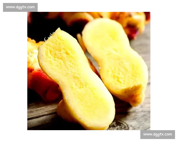 姜文化盛宴:探寻姜在美食、健康与传统中的多元价值与应用