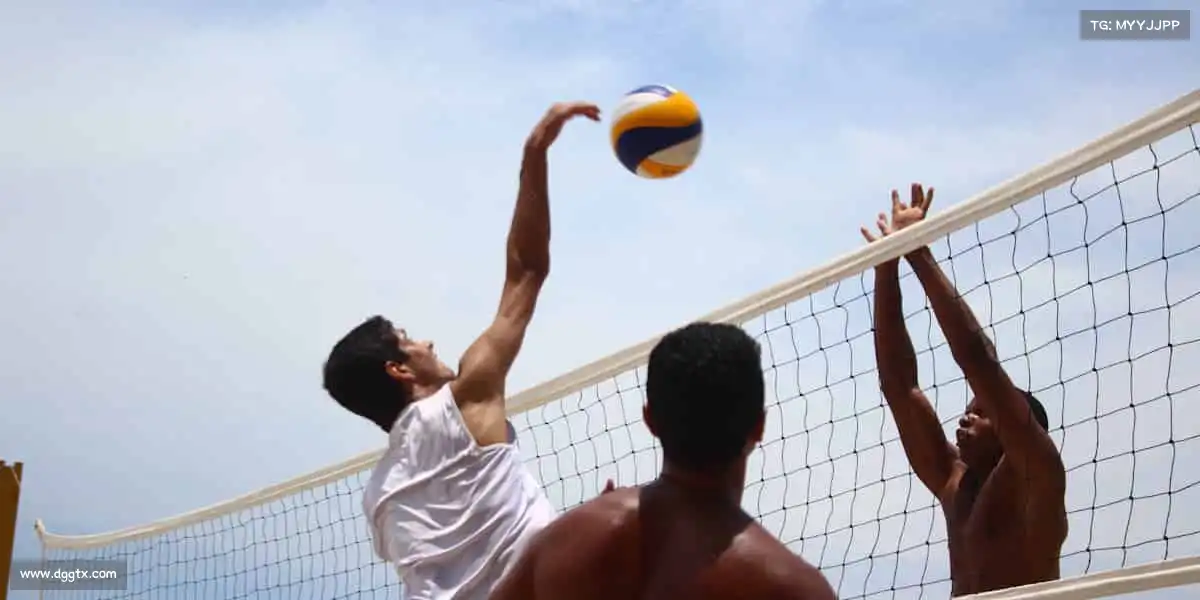 为什么选择我们